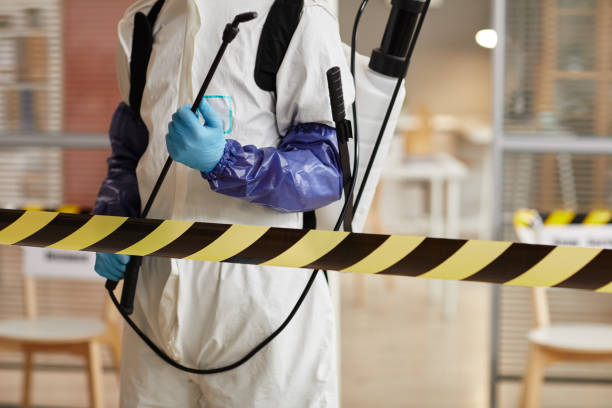 Professional Sewage Cleanup technician working in Newcastle, NE
